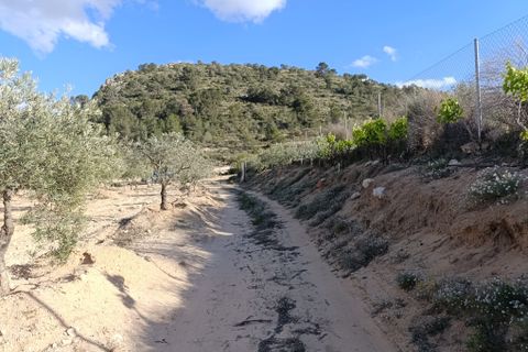 Masia a Sax, Alicante, Sax - € 63.000 | Ref: Panadero - foto 10